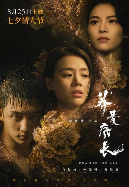 同等学历有什么证书